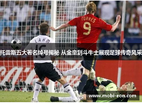 托雷斯五大著名绰号揭秘 从金童到斗牛士展现足球传奇风采 托雷斯五大著名绰号揭秘 从金童到斗牛士展现足球传奇风采