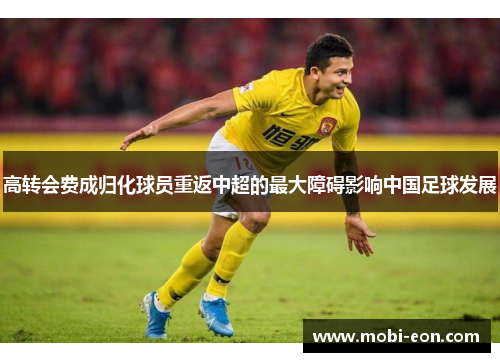 高转会费成归化球员重返中超的最大障碍影响中国足球发展